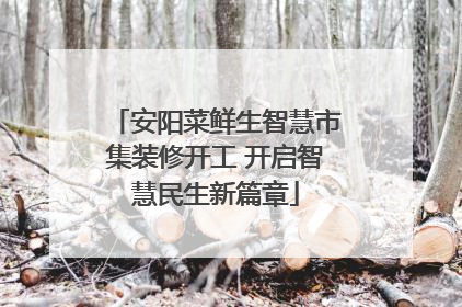 安阳菜鲜生智慧市集装修开工 开启智慧民生新篇章