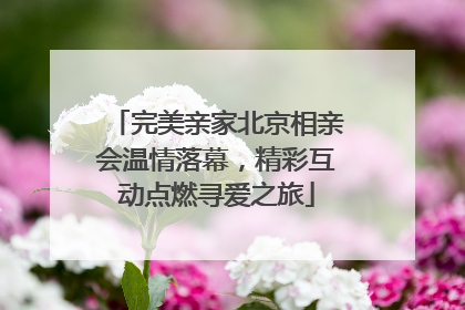 完美亲家北京相亲会温情落幕，精彩互动点燃寻爱之旅
