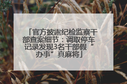 官方披露纪检监察干部查案细节：调取停车记录发现3名干部假“办事”真麻将