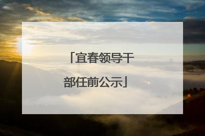宜春领导干部任前公示