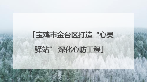 宝鸡市金台区打造“心灵驿站” 深化心防工程