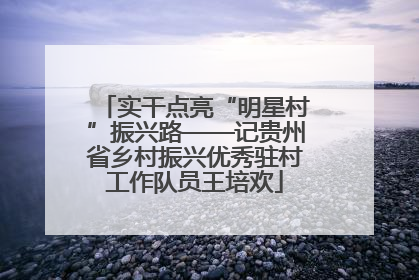 实干点亮“明星村”振兴路——记贵州省乡村振兴优秀驻村工作队员王培欢
