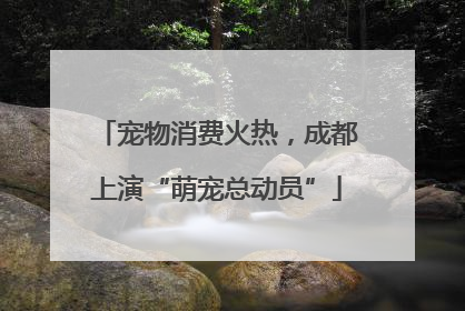 宠物消费火热，成都上演“萌宠总动员”