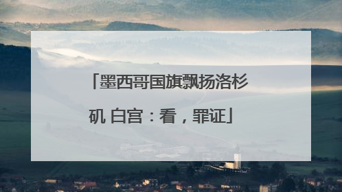墨西哥国旗飘扬洛杉矶 白宫：看，罪证