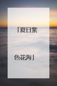 夏日紫色花海