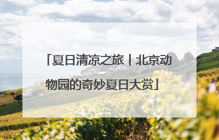 夏日清凉之旅丨北京动物园的奇妙夏日大赏