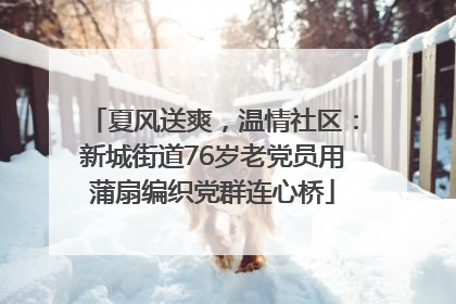 夏风送爽，温情社区：新城街道76岁老党员用蒲扇编织党群连心桥