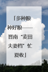 多种粮 种好粮——晋南“麦田夫妻档”忙夏收