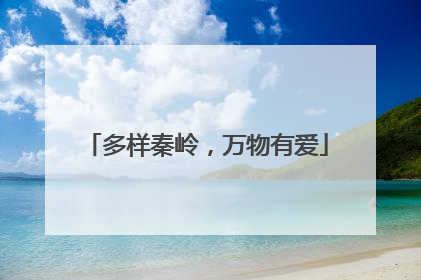 多样秦岭，万物有爱