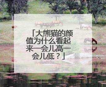 大熊猫的颜值为什么看起来一会儿高一会儿低？