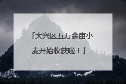 大兴区五万余亩小麦开始收获啦！