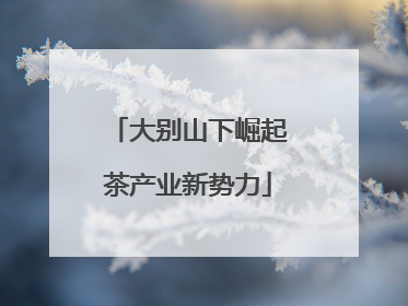 大别山下崛起茶产业新势力