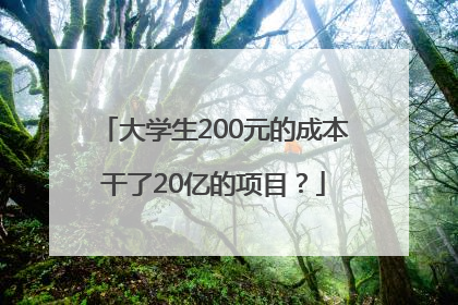 大学生200元的成本干了20亿的项目？