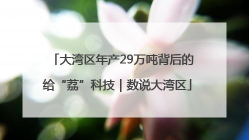 大湾区年产29万吨背后的给“荔”科技｜数说大湾区