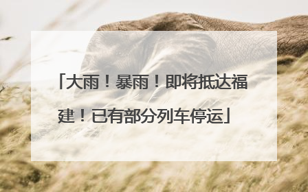 大雨！暴雨！即将抵达福建！已有部分列车停运