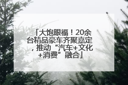 大饱眼福！20余台精品豪车齐聚嘉定，推动“汽车+文化+消费”融合