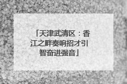 天津武清区：香江之畔奏响招才引智奋进强音