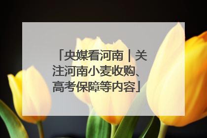 央媒看河南｜关注河南小麦收购、高考保障等内容