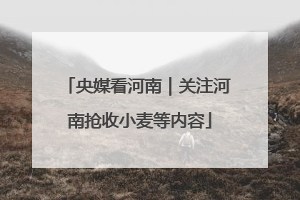 央媒看河南｜关注河南抢收小麦等内容