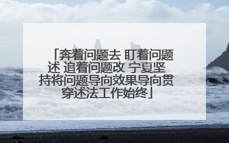 奔着问题去 盯着问题述 追着问题改 宁夏坚持将问题导向效果导向贯穿述法工作始终
