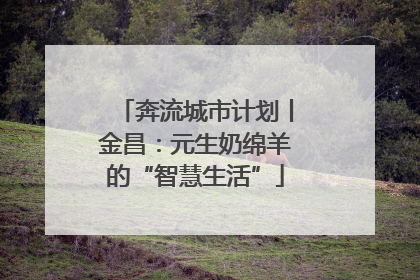 奔流城市计划丨金昌：元生奶绵羊的“智慧生活”