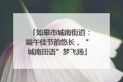 如皋市城南街道：端午佳节韵悠长，“城南田语”梦飞扬