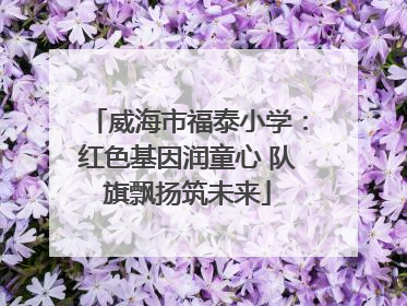威海市福泰小学：红色基因润童心 队旗飘扬筑未来