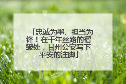 忠诚为墨、担当为锋！在千年丝路的褶皱处，甘州公安写下平安的注脚