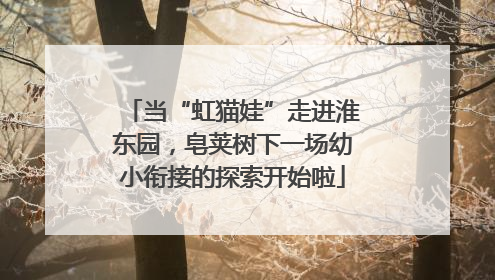 当“虹猫娃”走进淮东园，皂荚树下一场幼小衔接的探索开始啦