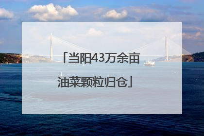 当阳43万余亩油菜颗粒归仓