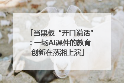 当黑板“开口说话”：一场AI课件的教育创新在蒸湘上演