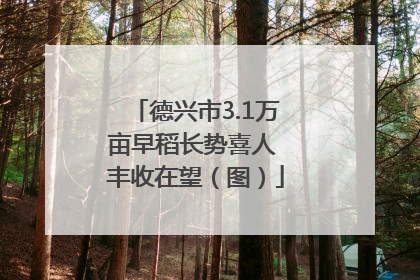 德兴市3.1万亩早稻长势喜人 丰收在望（图）