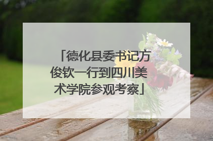 德化县委书记方俊钦一行到四川美术学院参观考察