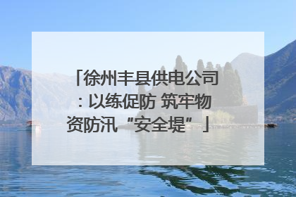 徐州丰县供电公司：以练促防 筑牢物资防汛“安全堤”