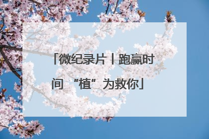 微纪录片丨跑赢时间 “植”为救你