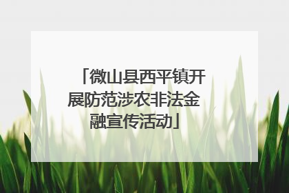 微山县西平镇开展防范涉农非法金融宣传活动