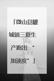 微山县驩城镇三夏生产跑出 “加速度”
