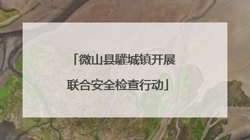 微山县驩城镇开展联合安全检查行动