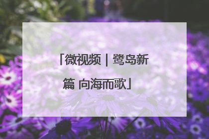 微视频｜鹭岛新篇 向海而歌