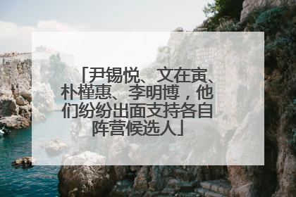 尹锡悦、文在寅、朴槿惠、李明博，他们纷纷出面支持各自阵营候选人
