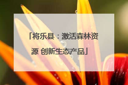 将乐县：激活森林资源 创新生态产品