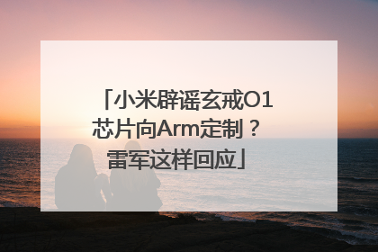 小米辟谣玄戒O1芯片向Arm定制？雷军这样回应