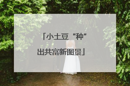 小土豆“种”出共富新图景