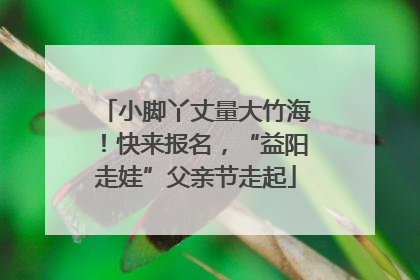 小脚丫丈量大竹海！快来报名，“益阳走娃”父亲节走起