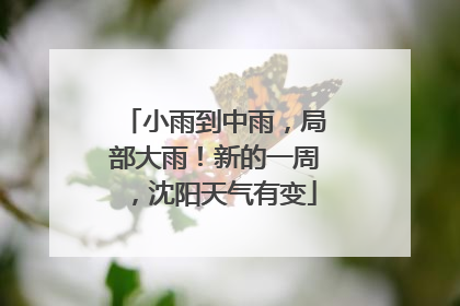 小雨到中雨，局部大雨！新的一周，沈阳天气有变