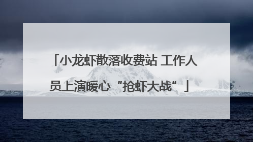 小龙虾散落收费站 工作人员上演暖心“抢虾大战”