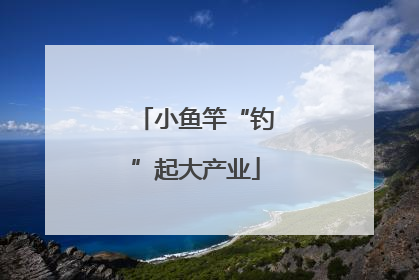 小鱼竿“钓”起大产业