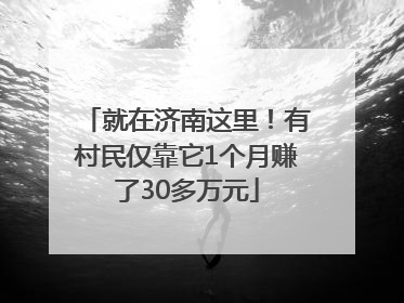 就在济南这里！有村民仅靠它1个月赚了30多万元