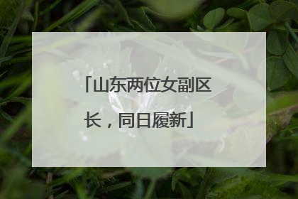 山东两位女副区长，同日履新