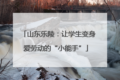 山东乐陵：让学生变身爱劳动的“小能手”